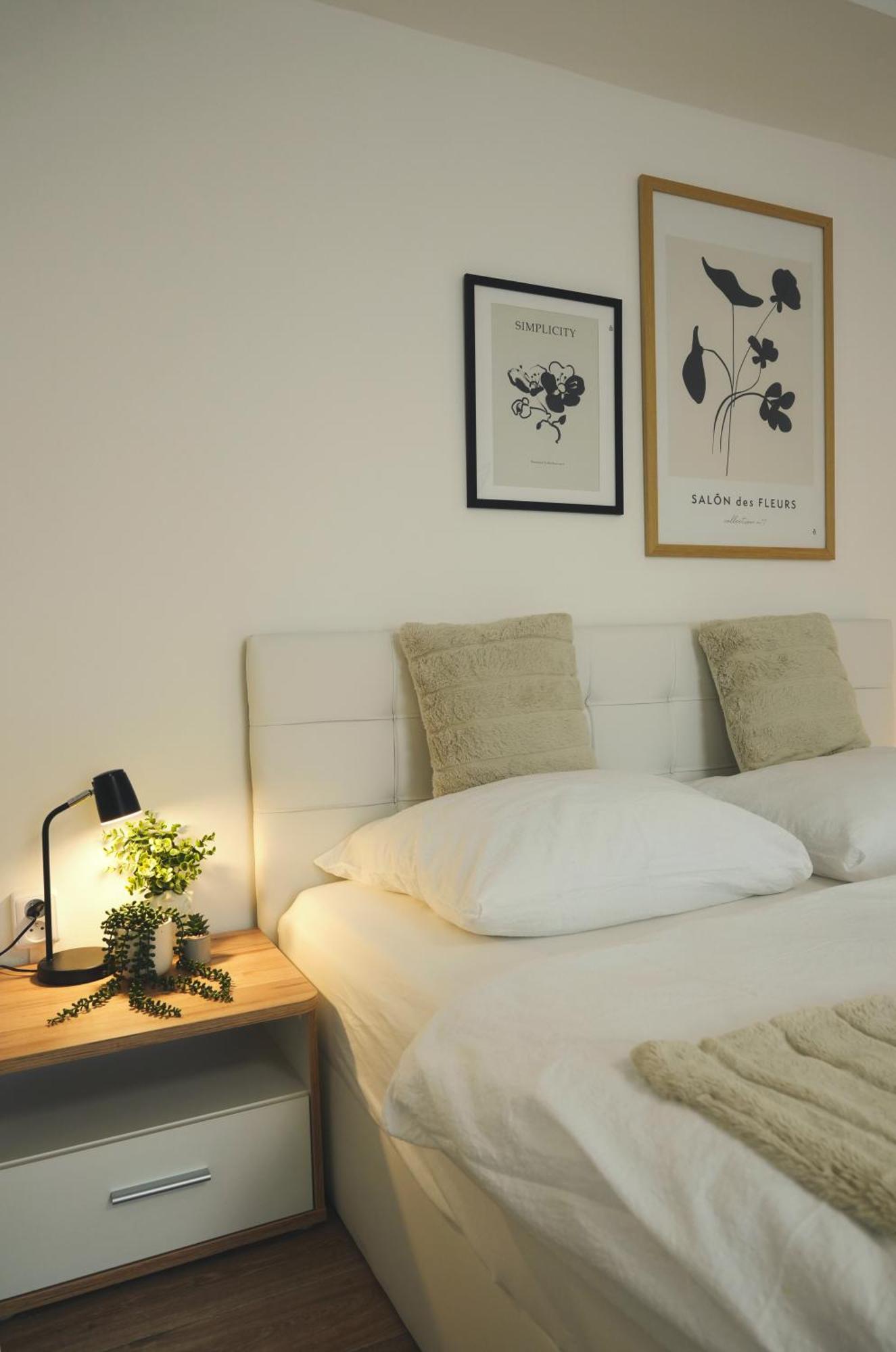 Apartment Morava 4 Safarikova 855